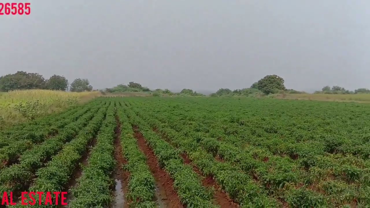 Amaravati capital Madipadu 2 acres 96 cents 35 lakhs per acre