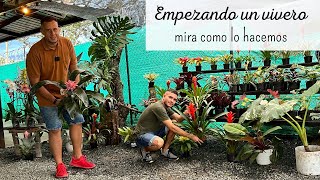 MONTAMOS UN VIVERO | vamos a vender planticas NATIVO GARDEN