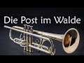 Die post im walde solo trompete