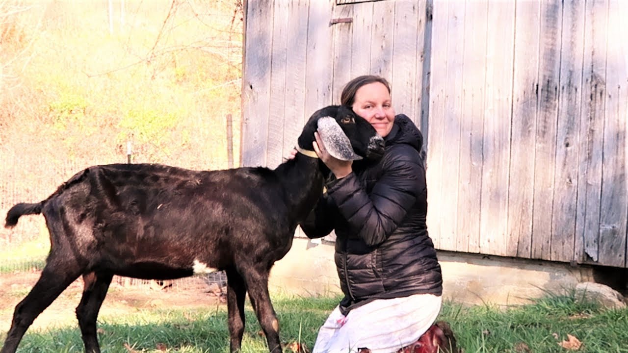 SAYING GOODBYE On The HOMESTEAD Bittersweet But Necessary YouTube