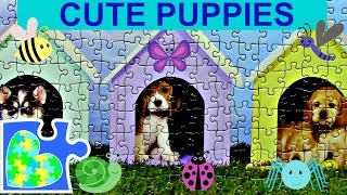 CUTE PUPPIES Puzzle Video for Kids! Perritos lindos rompecabezas de puzzle. screenshot 4