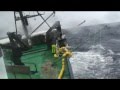 Longlining for Toothfish at Heard Island on Austral Leader II - Winter 2009