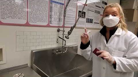 FCS 323 Lab 5: Colorfastness to Laundering