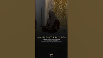 تلاوة عذبة للشيخ هيثم الدخين – جودة عالية" 💙
