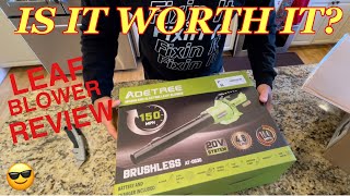 Aoetree 150Mph Cordless Leaf Blower Review - Watch Before You Buy
