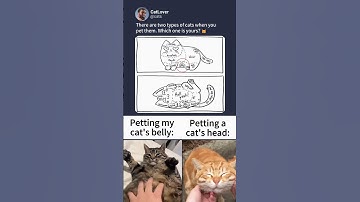 Two Types of Cats When You Pet Them 😼