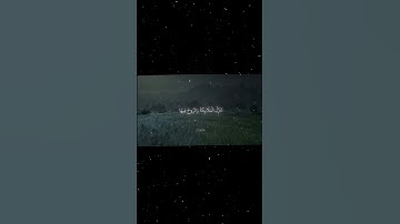 سورة القدر|1-5|القارئ:#محمد_اللحيدان #قران #quran #راحة_نفسية #قران_كريم #تلاوة_هادئة  #تلاوة_خاشعة