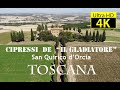 CIPRESSI DE "IL GLADIATORE" 4K - DRONE DJI MAVIC AIR - TOSCANA 2020 - Silvia Ferroni