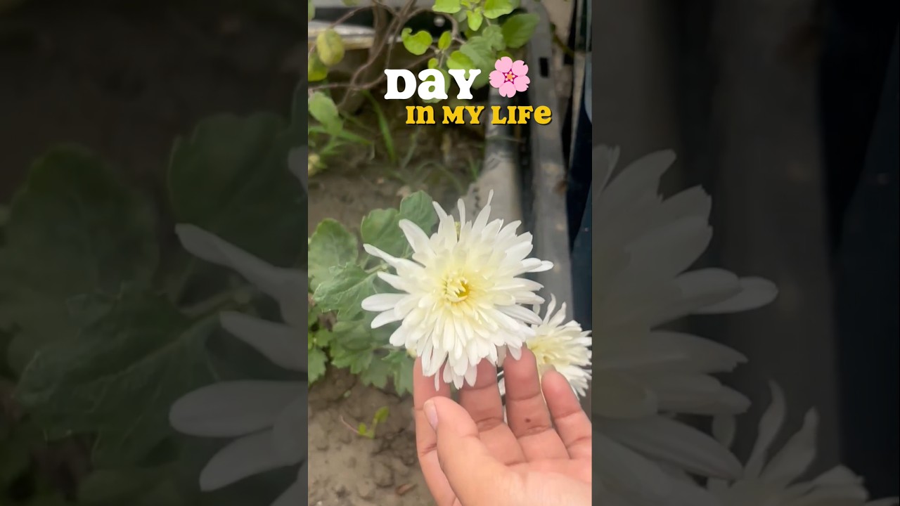 A slice of my day🥰||