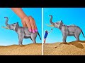 Creative Photo And Video Tricks Using Everyday Objects