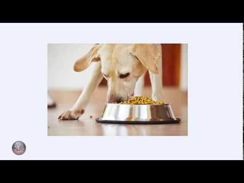 لا تستصغر الحسنة فلعلها هي المنجية