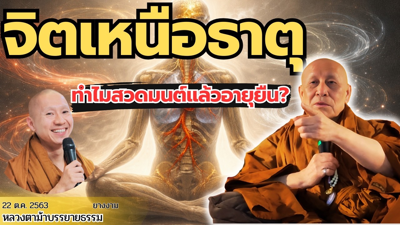 สวดมนต์ทุกวัน ทำไม “โรคเบา อายุยืน”? หลวงตาม้าพูดชัด