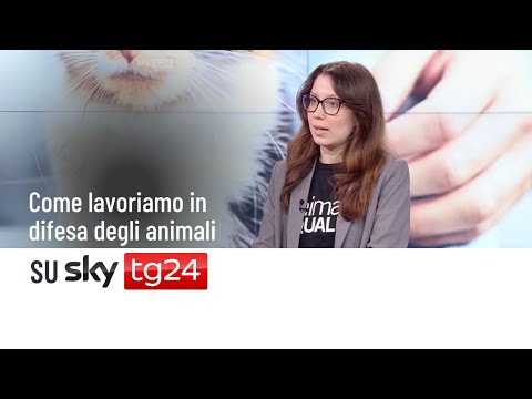 Il nostro intervento a Sky TG24 per la Giornata Internazionale dei Diritti Animali