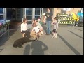 Stubborn, jumping Poodle learns off leash obedience!! OLK9 Knoxville TN Stubborn, jumping Poodle learns off leash obedience!! OLK9 Knoxville TN