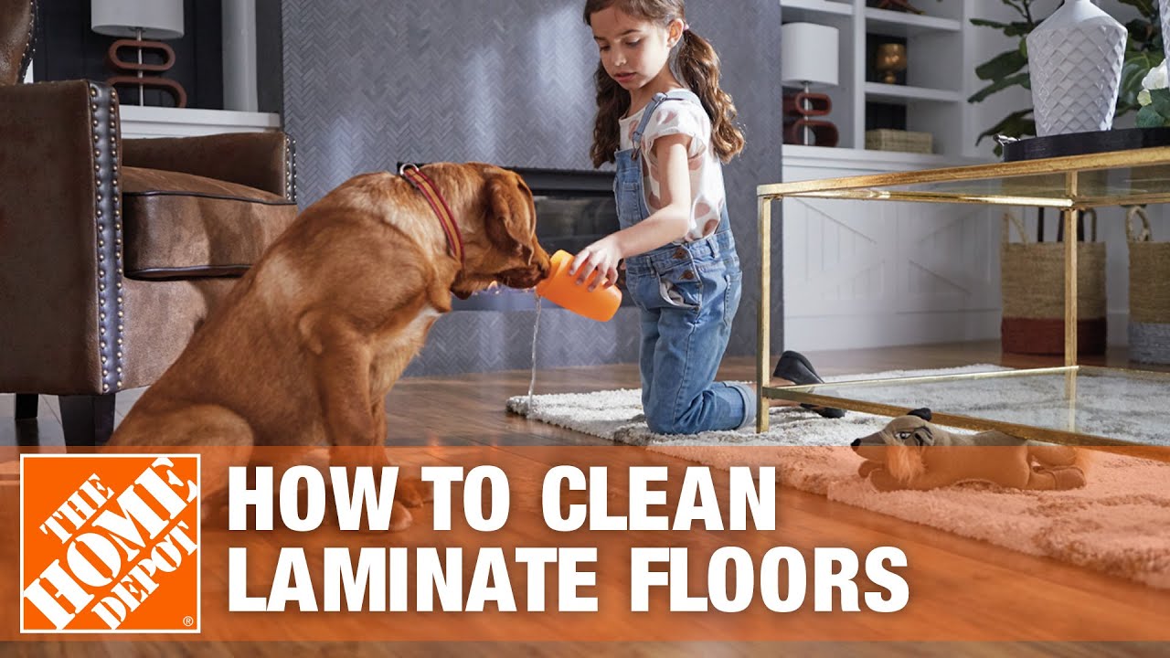 How To Clean Laminate Floors, How To Keep Laminate Floors Clean With Dogs