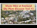 Mavic Mini at Everland Sky Garden #3