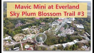 Mavic Mini at Everland Sky Garden #3