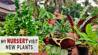 My Nursery Visit | New Plants | Home Garden(Malayalam)