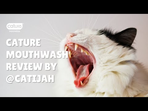 Cature - Mouthwash Review By @catijah