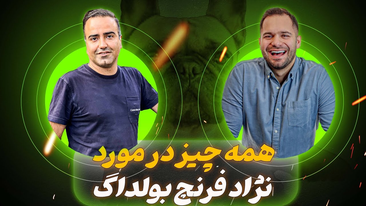 محبوب ترین نژاد دنیا فرنچ بولداگ /برسی نژاد سگ فرنچ بولداگ /معرفی نژاد