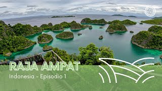 RAJA AMPAT (Indonesia): cómo llegar, dónde hospedarse y qué visitar