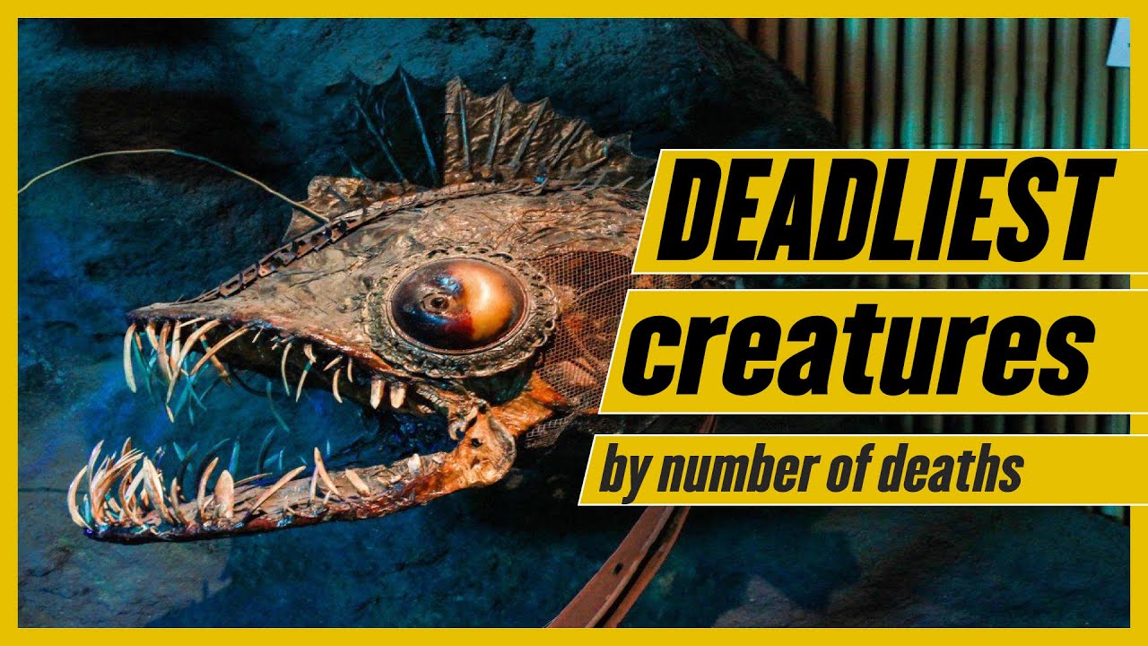 Deadliest animals comparison by number of deaths