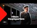 Hitlers Hauptquartiere: Kommandozentralen des Bösen | Terra X thumbnail