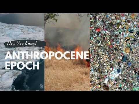 How Humans Changed the Earth Forever — The Anthropocene Epoch Explained