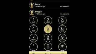 ExDialer 7 Gold Theme screenshot 4