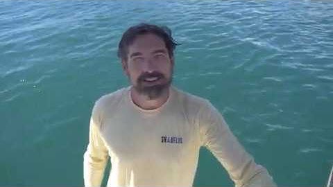 Autoprop H6 bearing replacement SV Delos