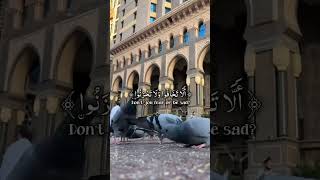 إِنَّ الذِينَ قالُوا ربناَ اللهَّ ثم استقموا || خالد جليل