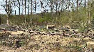 The woods I used to Dx from in West Oxfordshire have changed a lot