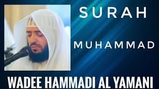 SURAH MUHAMMAD | AlQURAN | WADEE HAMMADI AL YAMANI | NICE VOICE AND RECITATION#oneummah #quranhadees