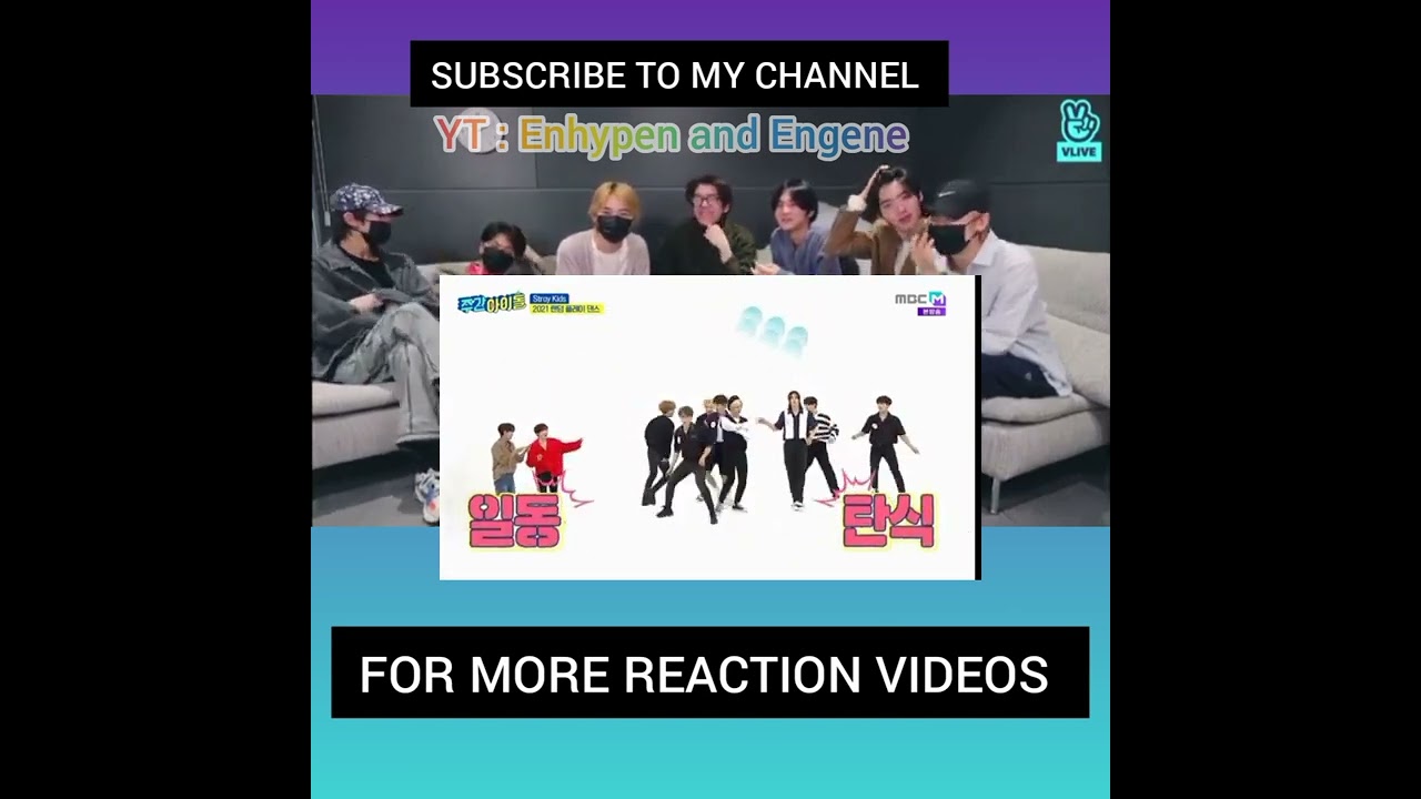 Enhypen reaction to Stray kids Weekly Idol Random Play Dance (fan-made)