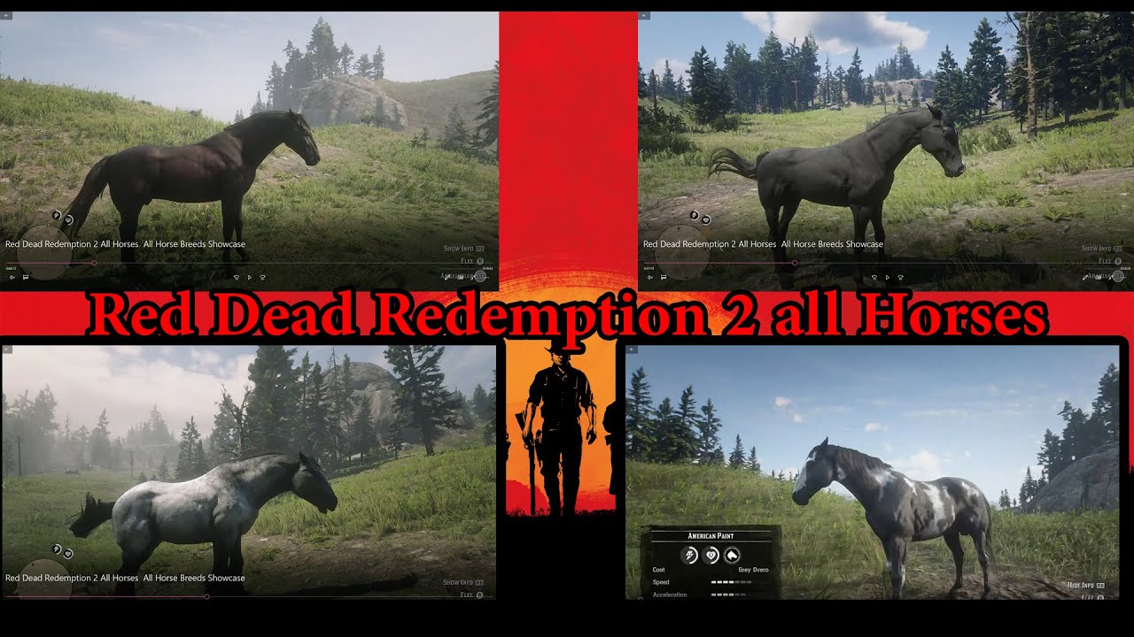 energi eftermiddag indkomst Red Dead Redemption 2 All Horses /All Horse Breeds Showcase - YouTube