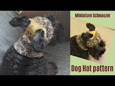 Video: How To Knit A Hat For A Dog