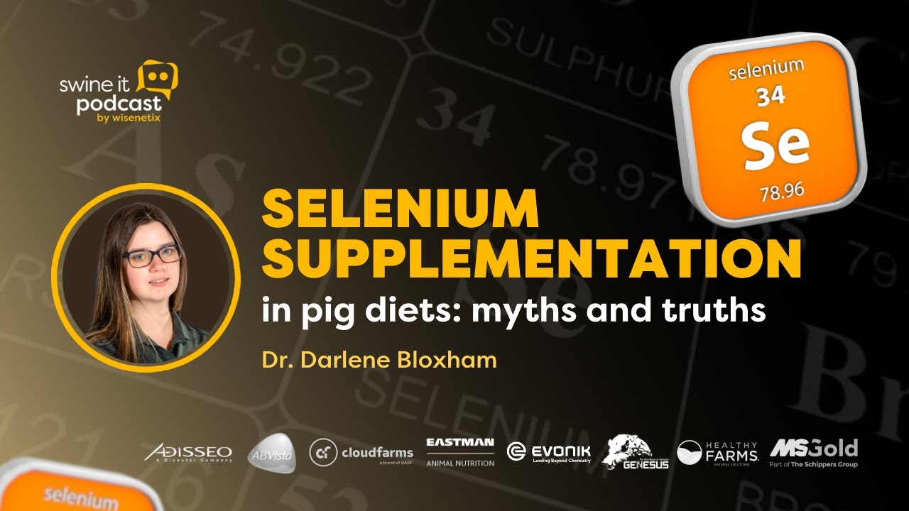 III. Importance of Clearing Misunderstandings about Selenium