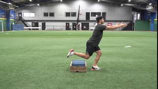 One Leg Knee Tap Squat