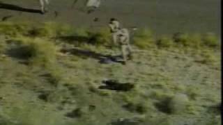 Breaking the law music video