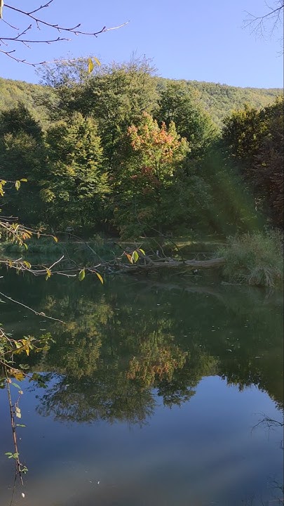 Naturpark Herbst Spaziergang Teich Wasser YouTube