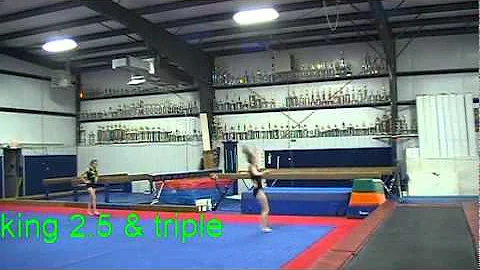 Terri's Skills 2012