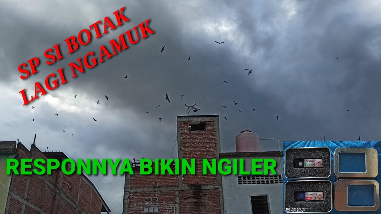 SP SI BOTAK BIKIN NGILER | LIHAT SENDIRI BUKTINYA