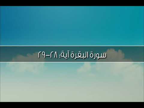سورة البقرة آية ٢٨ ٢٩ كيف تكفرون بالله وكنتم أمواتا فأحياكم الشيخ مشاري راشد العفاسي