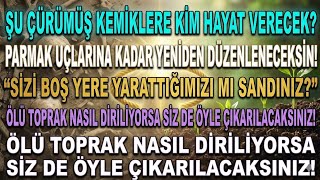 Diriliş, Diriltme, Dirilme, Diriltilme / Kutsal Kitap 