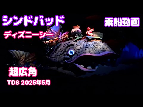 超広角】シンドバッド・ストーリーブック・ヴォヤッジ 東京ディズニー