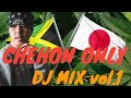 【CHEHON メドレー ノリノリ♪】DJ一発撮り チェホンオンリー ジャパレゲミックス