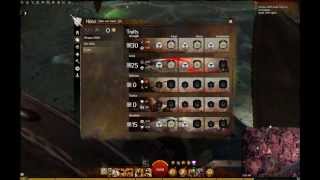 [DnT] DPS Warrior Build For Dungeons and Fractals 12/10/13
