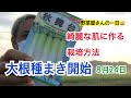 【大根栽培】大根種まきスタート！綺麗な肌に作る方法
