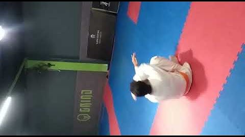 Judo Back / Breakfall (Ushiro Ukemi in Japanese)