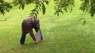 How to dye for woodland wear